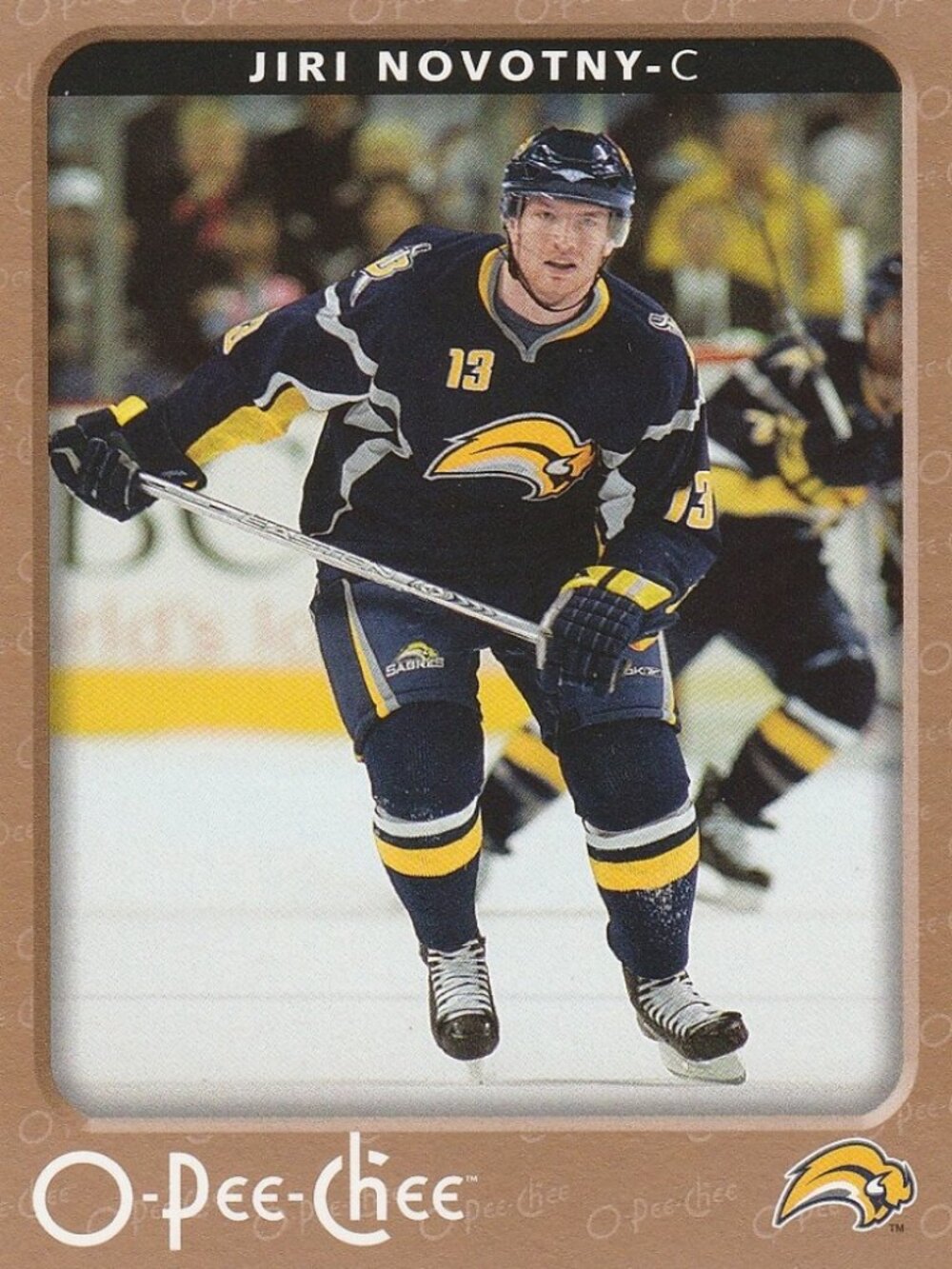 Jiri Novotny - 2006/2007 O Pee Chee Hockey Card